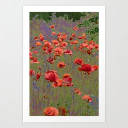 Poppy Garden Abstract Art Print | Color, Digitalart, Flowerabstract, Photo, Poppyabstract, Artwallart, Homedecor, Digital, Walldecor, Christianeschulze 