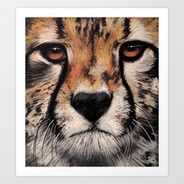 Cheetah, Savannah Hunter Art Print