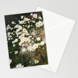 White daisies(Film camera) Stationery Card