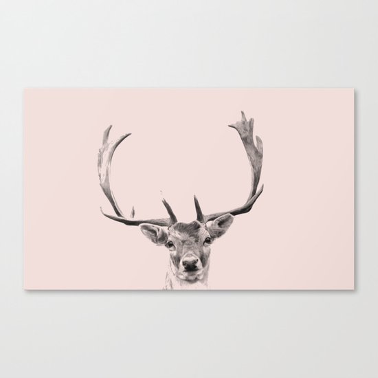 Oh deer , I am in pink Canvas Print