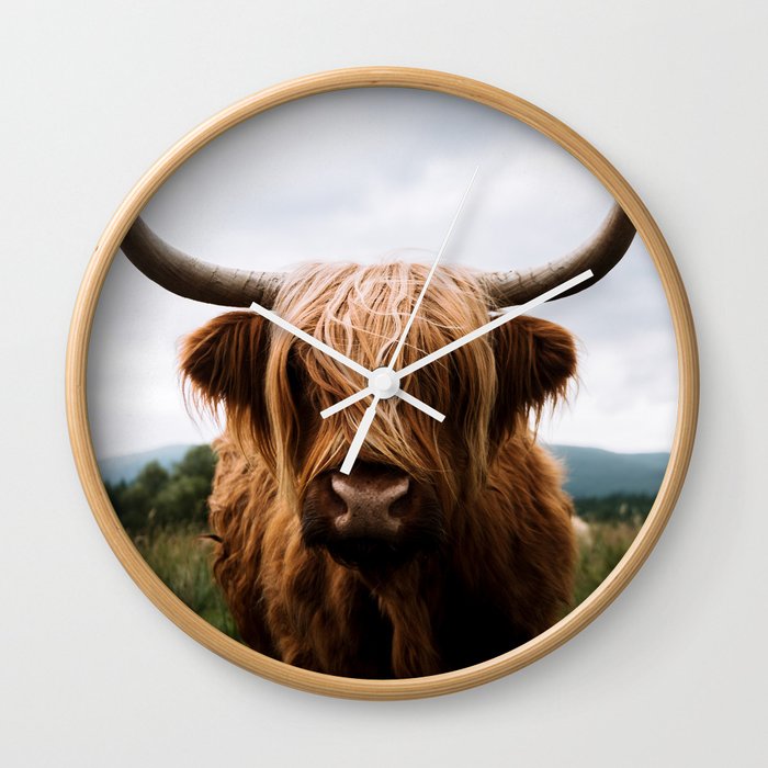 Scottish Highland Cattle Portrait Wall Clock
