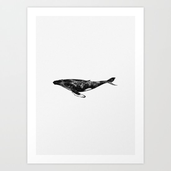 Whale Art Print