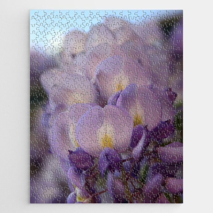 Wisteria Vine Flower Blooming Blossoms Close Up Jigsaw Puzzle