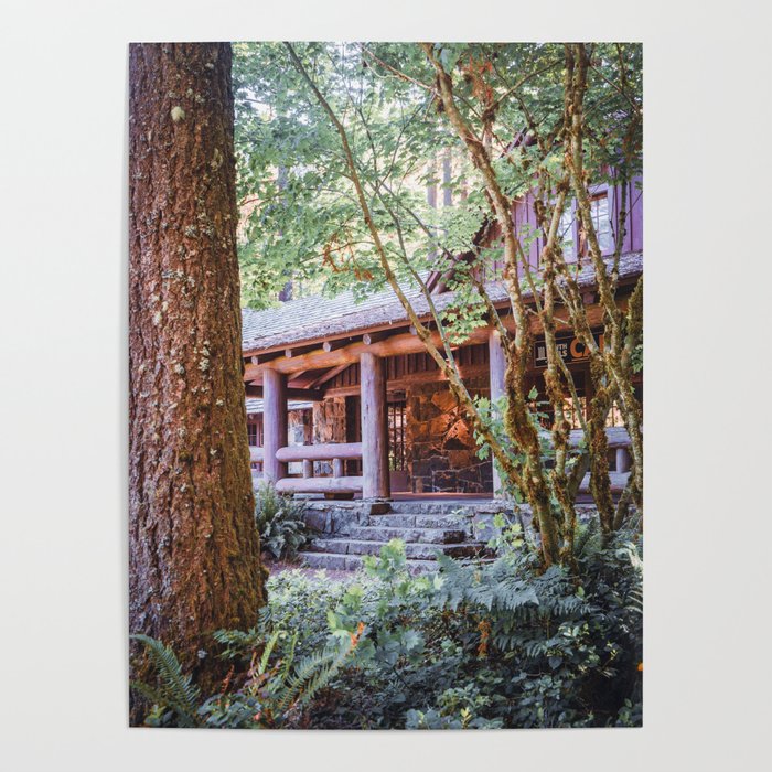 Rustic Forest | Oregon Nature | Travel Photography Poster