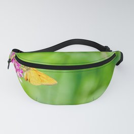 Close up of orange butterfly Fanny Pack