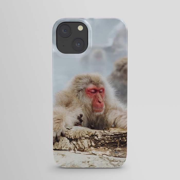 Ice Monkey iPhone Case