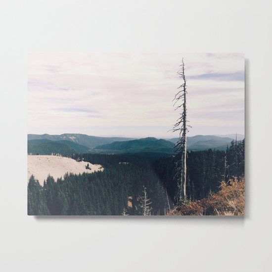 STAND STILL - landscape photography Metal Print