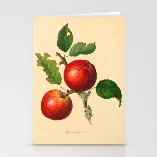 The Cowarne Red Apple (1811) Stationery Cards