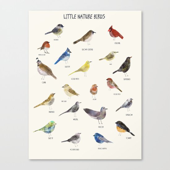 little nature birds Canvas Print