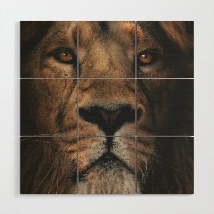 Fierce Lion Wood Wall Art