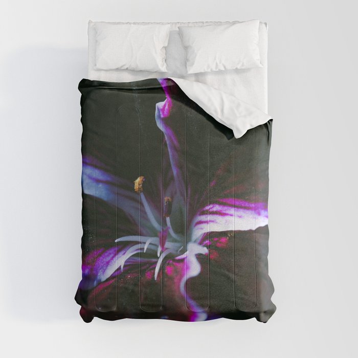 burgundy geranium in the dark (still life) Comforter