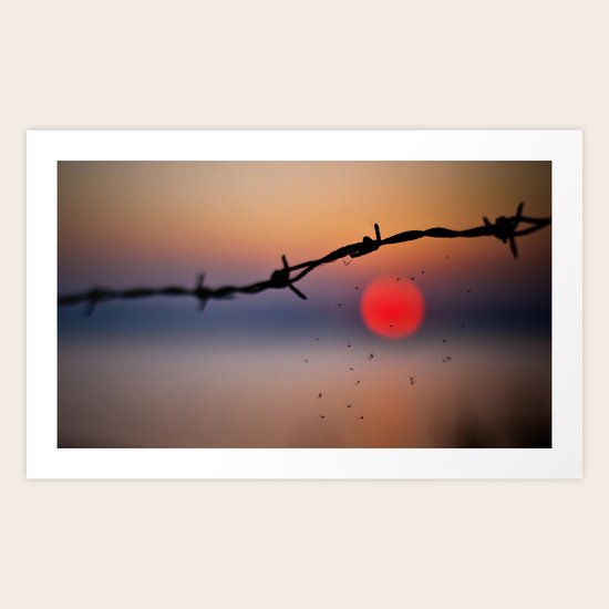 Sunset Art Print