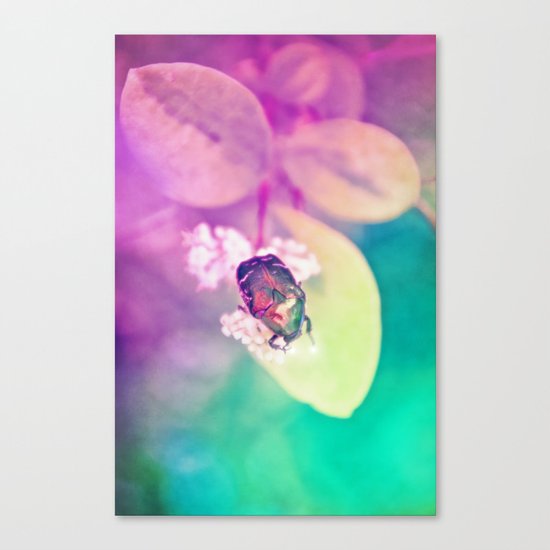 LOVEBUG Canvas Print