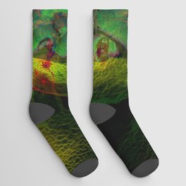 SAPHIRA & XSARA Socks