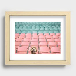 Labradoodle Sitting in Stadium Recessed Framed Print