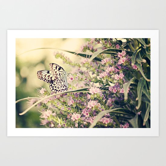 Summer Dreams Art Print