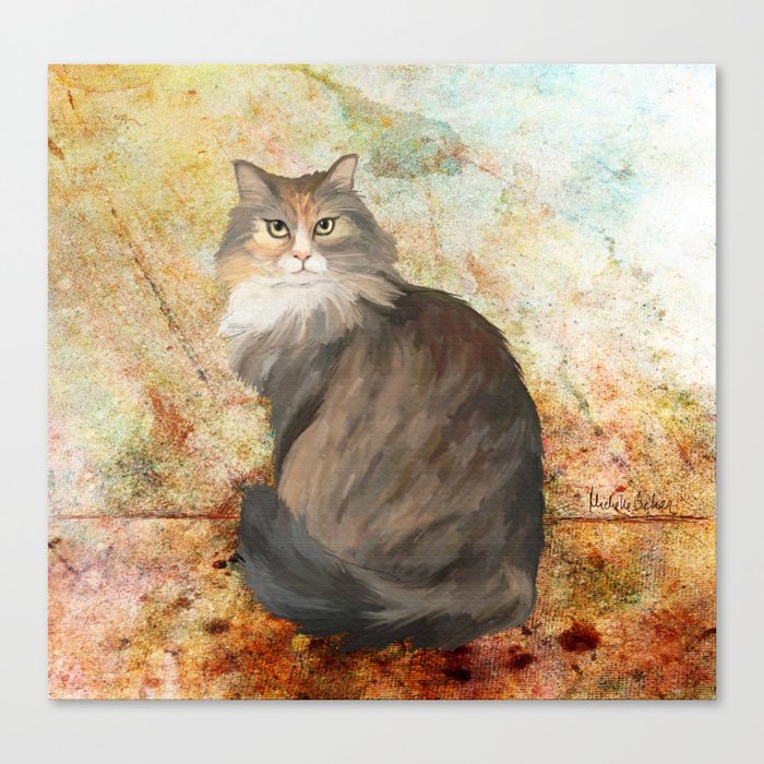 Maine coon cat Canvas Print