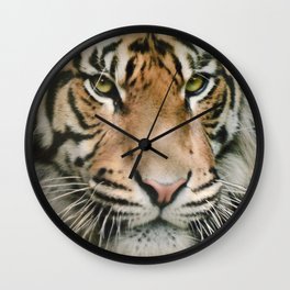 Tiger looking Wall Clock