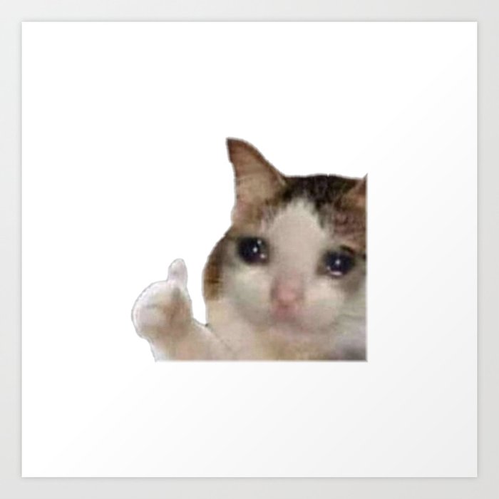 Crying Cat meme - High quality Art Print