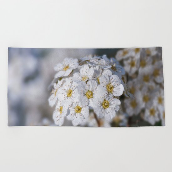 Bridal Wreath macro Beach Towel