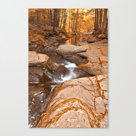 Worlds End Forest Stream - Gold Rapture Canvas Print