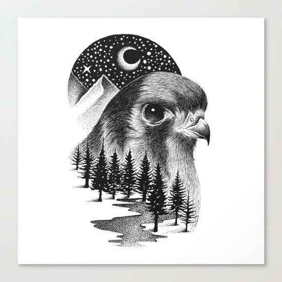 FALCON Canvas Print
