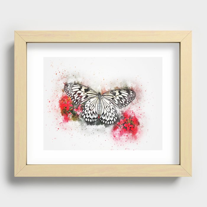 Butterfly  Watercolor art Recessed Framed Print