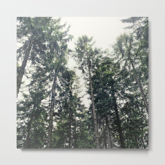 Up In The Woods Metal Print