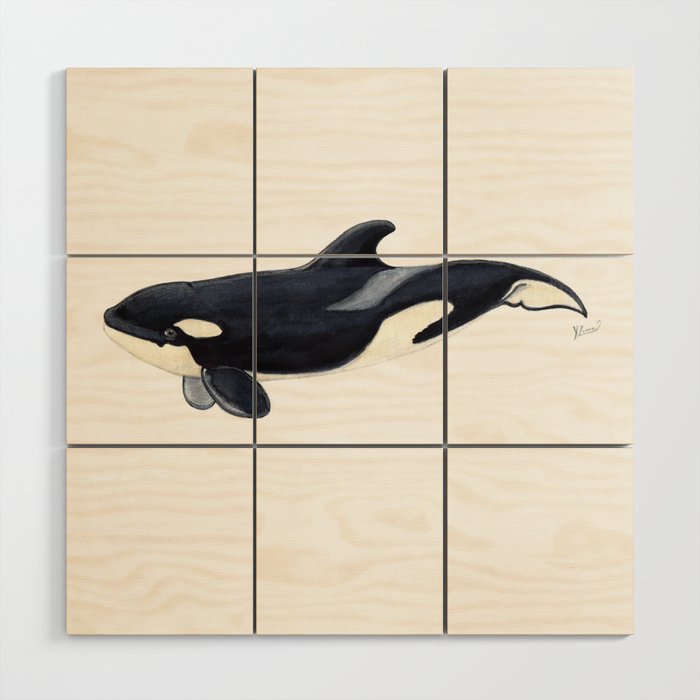 Baby orca Wood Wall Art