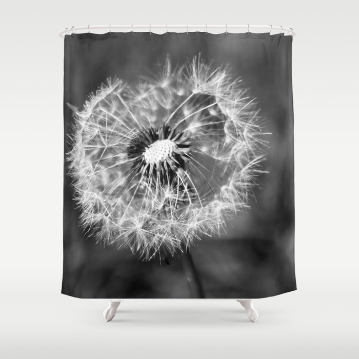 Dandelion & Autumn Shower Curtain