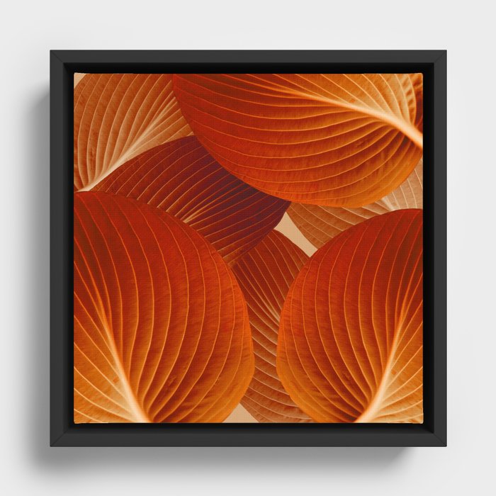 Framed Canvas
