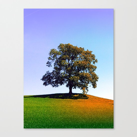 Posing tree on a hill in summertime Canvas Print