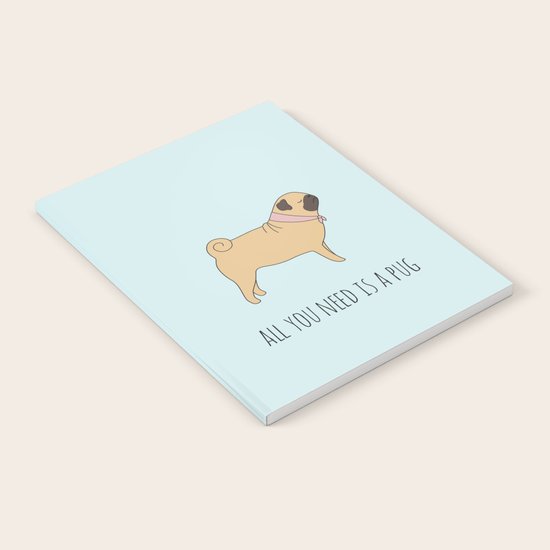 PUG Notebook