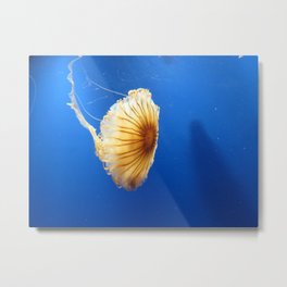 Jellyfish 2 Metal Print