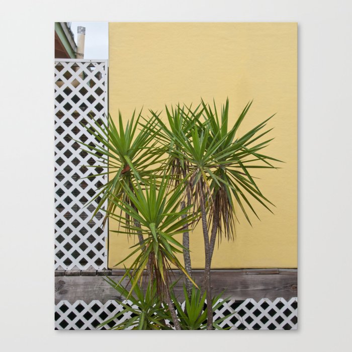 Palm meets Yellow Wall #1 #wall #art #society6 Canvas Print