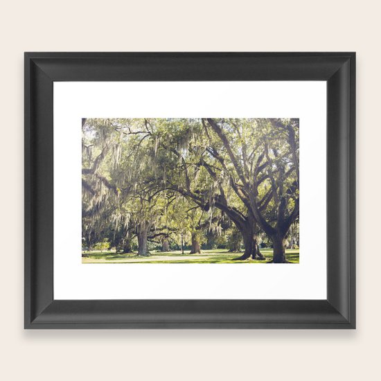 Audubon Park New Orleans Framed Art Print by Ann Hudec Modern Travel