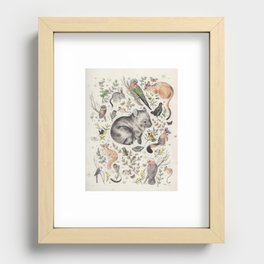 Australian Native Animals and Birds Recessed Framed Print