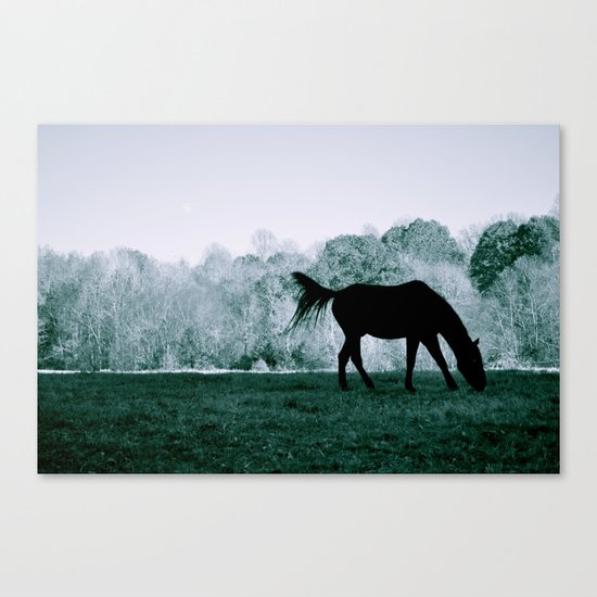 At the Greenway Canvas Print