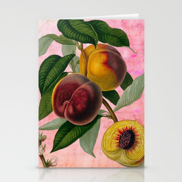 Vintage Botanical Collage, Bradford Peach Stationery Cards