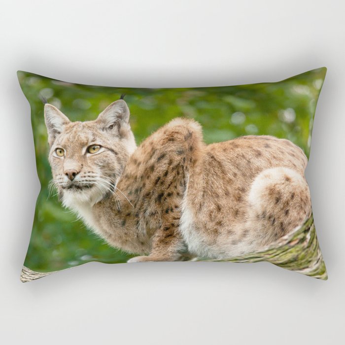 Lynx Rectangular Pillow by dominikaaniola | Society6
