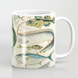 Vintage Fishing and Eel Illustration Drawing by Adolphe Millot of Under Water Sea Creature Sushi Coffee Mug