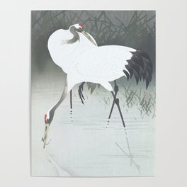 Two cranes fishing in the swamp - Vintage Japanese Woodblock Print Art Poster
