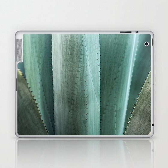 Agave Cactus Leaves  Detail Closeup Laptop & iPad Skin