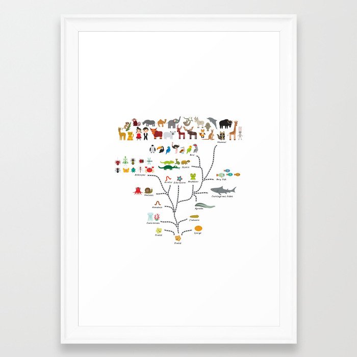 Evolution scale from unicellular organism to mammals. Evolution in biology, scheme evolution ...