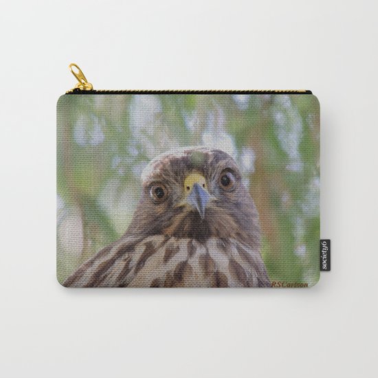 Hawk Eyes in the Willow Carry-All Pouch