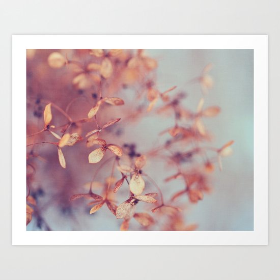 January Fog Art Print