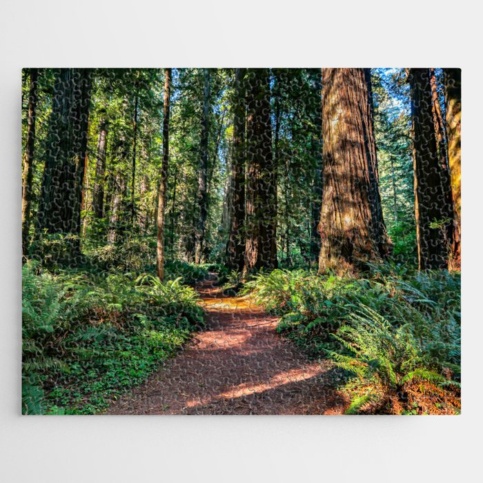 Walk Through The Redwoods   9-9-18  F Jigsaw Puzzle