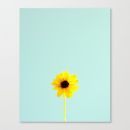 Sunflower Minimalist Photography Canvas Print