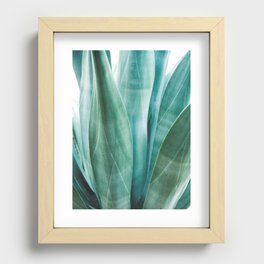 Agave Parryi Recessed Framed Print