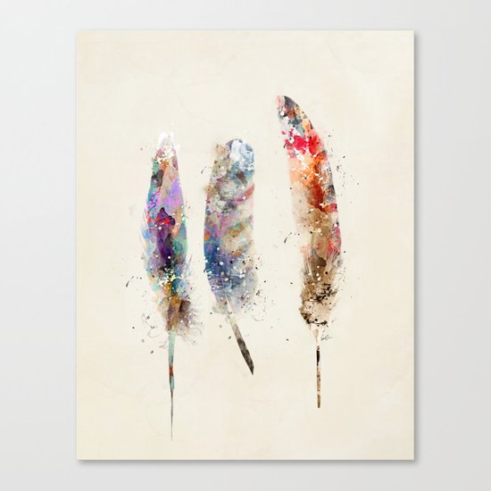 feathers Canvas Print